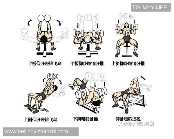 刚开始练哑铃应该选择多重的重量以确保安全和效果的最佳平衡